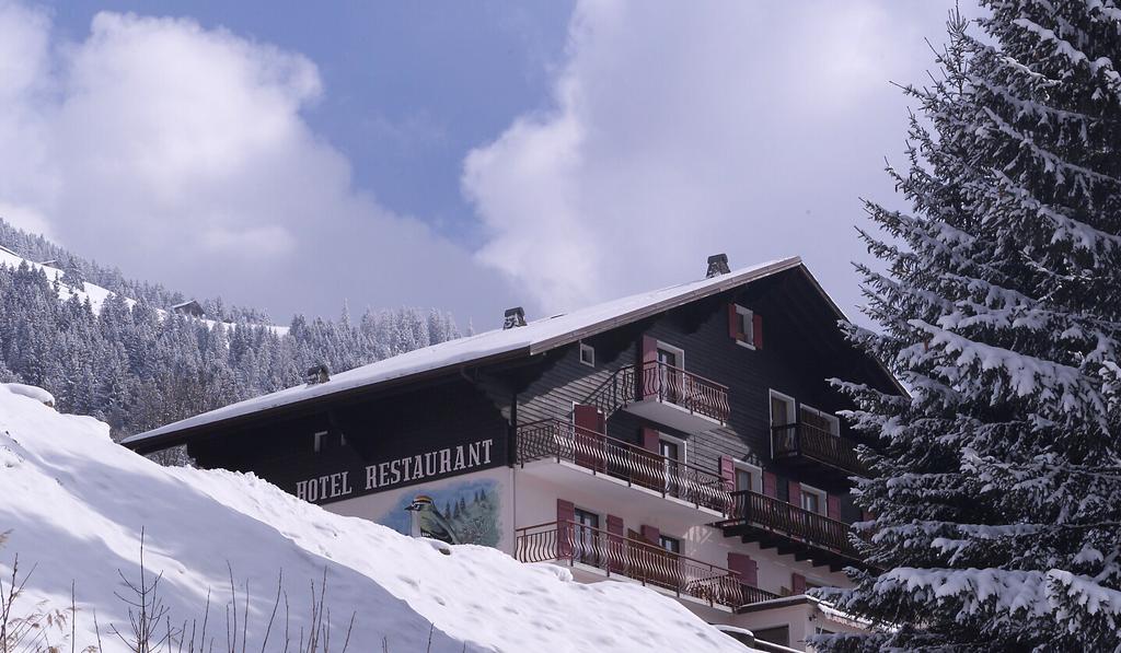 Le Roitelet Hotel Châtel Exterior foto