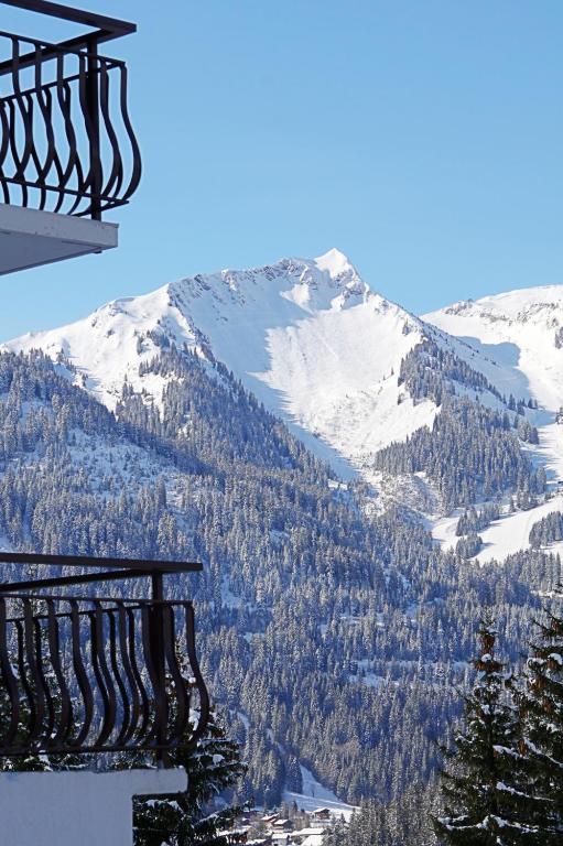 Le Roitelet Hotel Châtel Exterior foto